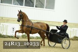 24R13_10233 thumbnail