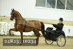 24R13_10234 thumbnail