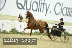 24R13_10237 thumbnail