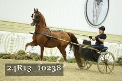 24R13_10238 thumbnail
