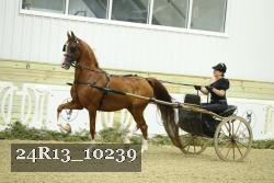 24R13_10239 thumbnail