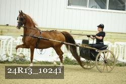24R13_10241 thumbnail
