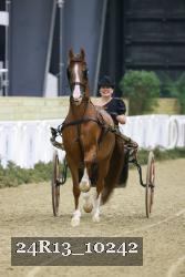 24R13_10242 thumbnail