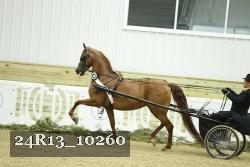 24R13_10260 thumbnail