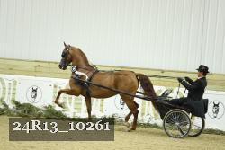 24R13_10261 thumbnail