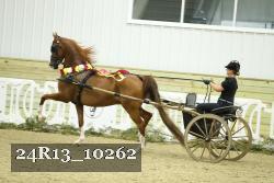 24R13_10262 thumbnail