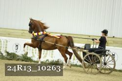 24R13_10263 thumbnail