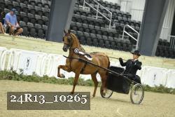 24R13_10265 thumbnail