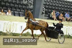 24R13_10266 thumbnail