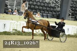 24R13_10267 thumbnail