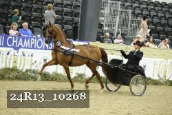 24R13_10268 thumbnail