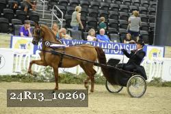 24R13_10269 thumbnail