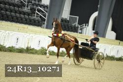 24R13_10271 thumbnail