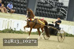 24R13_10272 thumbnail
