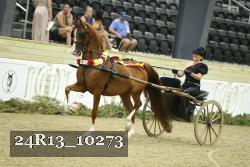 24R13_10273 thumbnail
