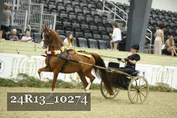 24R13_10274 thumbnail