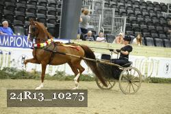 24R13_10275 thumbnail