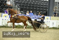 24R13_10276 thumbnail