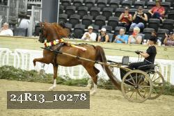 24R13_10278 thumbnail