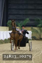 24R13_10279 thumbnail