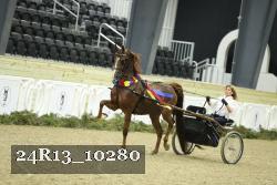 24R13_10280 thumbnail