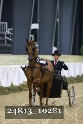 24R13_10281 thumbnail