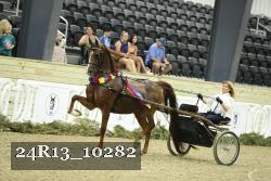 24R13_10282 thumbnail