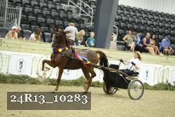 24R13_10283 thumbnail