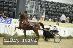 24R13_10284 thumbnail