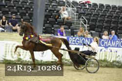 24R13_10286 thumbnail
