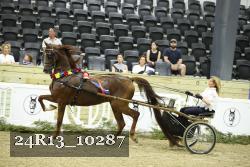 24R13_10287 thumbnail