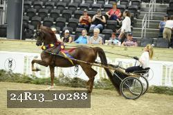 24R13_10288 thumbnail