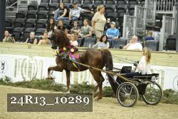 24R13_10289 thumbnail