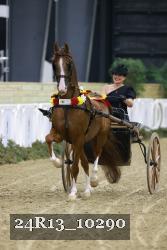 24R13_10290 thumbnail