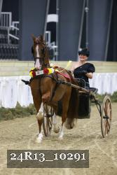24R13_10291 thumbnail