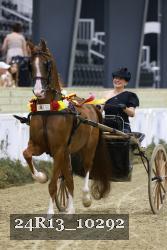 24R13_10292 thumbnail