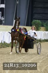 24R13_10296 thumbnail