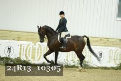 24R13_10305 thumbnail