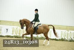 24R13_10308 thumbnail