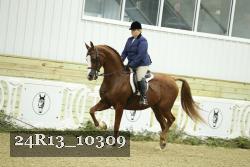 24R13_10309 thumbnail