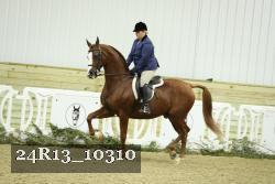 24R13_10310 thumbnail
