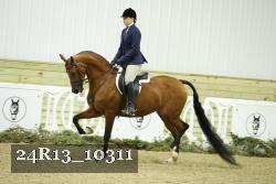 24R13_10311 thumbnail