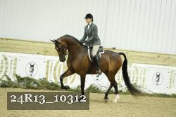 24R13_10312 thumbnail