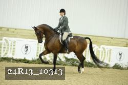 24R13_10313 thumbnail