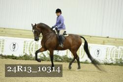 24R13_10314 thumbnail