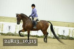 24R13_10315 thumbnail