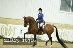 24R13_10316 thumbnail