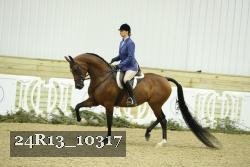 24R13_10317 thumbnail