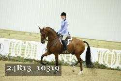 24R13_10319 thumbnail