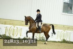 24R13_10321 thumbnail